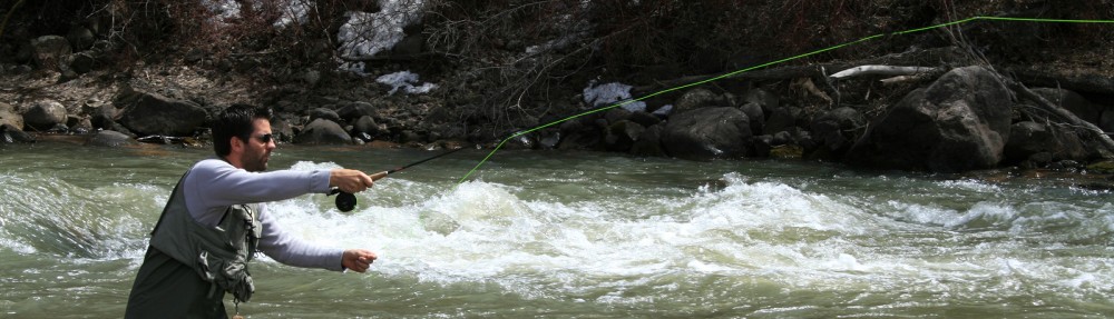 Fly Fish Tasmania